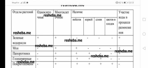 по Биологии таблица 6 класс (если кто-то напишет фигню кидаю жб) (фигню не писать)