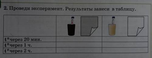 2. Проведи эксперимент. Результаты занеси в таблицу. t° через 20 мин. tчерез 1 ч. tчерез 2 ч. Выво