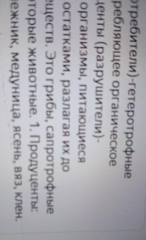 Гетеротрофные организмы подразделяют на потребителей (консументов) производителей (продуцентов) разр