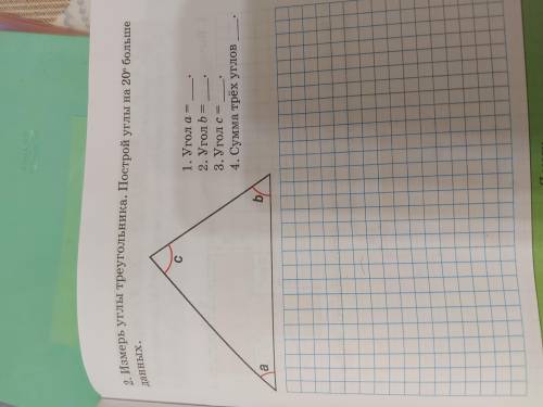 Измерения углы треугольника .Построй углы на 20* больше данных