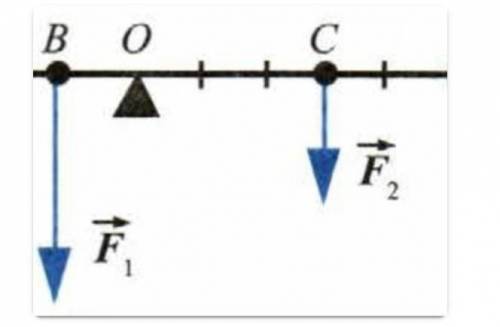 Определите по рисунку, какой из отрезков является плечом силы F2​?Укажите правильный вариант ответа: