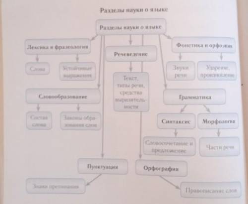 Изучите схему раздела науки о языке и составьте устное сообщение для устного сообщения Подготовьте п