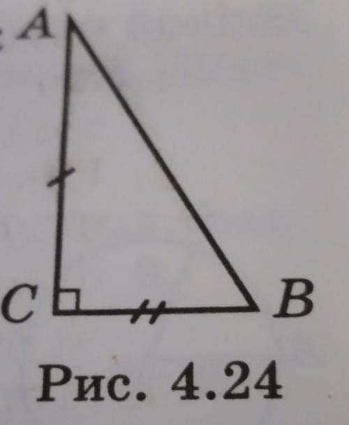 Постройте прямоугольный треугольник Aпо двум катетам (рис 4.24).(с циркуля)​