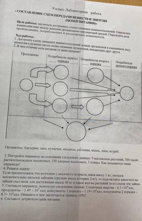 9 класс Лабораторная работа «СОСТАВЛЕНИЕ СХЕМ ПЕРЕДАЧИ ВЕЩЕСТВ И ЭНЕРГИИ (ЦЕПЕЙ ПИТАНИЯ)» Цель работ