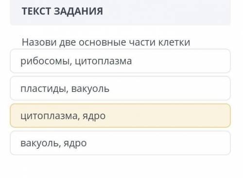 Назовите 2 основные части клетки​