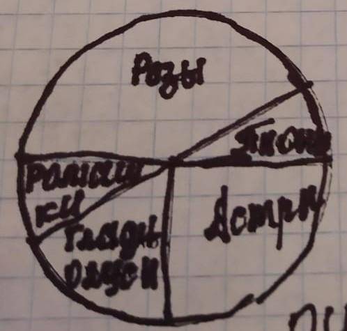 На круговой диаграмме (на рисунке) показано распределение. Цветов, которые выращивают на садовом уча