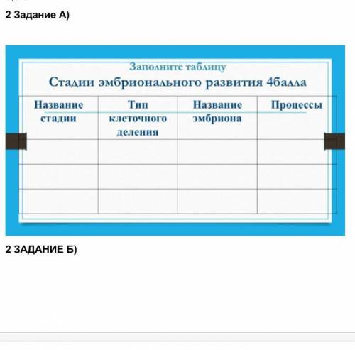 Стадии эмбрионального развития​