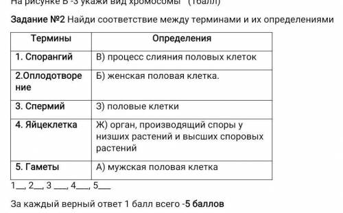 Задание №2 Найди соответствие между терминами и их определениями ТерминыОпределения1. СпорангийВ) пр