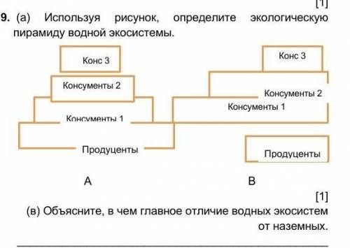 Используя рисунок, определите жкологическуб пирамиду водной экосистемы​