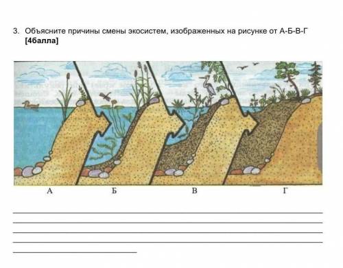 3. Объясните причины смены экосистем, изображенных на рисунке от А-Б-В-Г ​