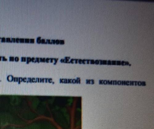 1. Изучите рисунок «Компоненты экосистемы. Определите, како на компонентов экосистемы отсутствует на