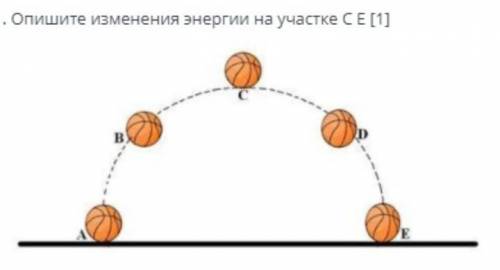 Опишите изменения энергии на участке CE [1]​