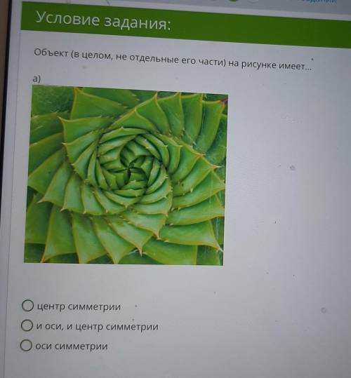 Что имеет объект изображённый на фотографии -центр симметрии -и ось и центр симметрии-оси симметрии