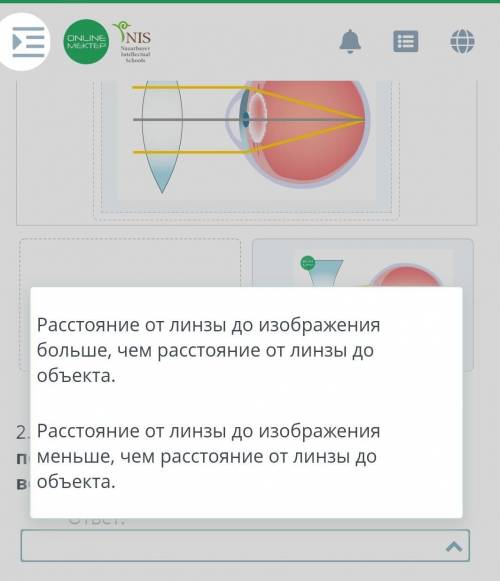 Онлайн МЕКТЕП >выберите правильное утверждение​