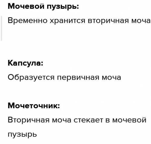 Сопоставьте процессы , происходящие в нефроне , и места их локализации 1)кровь, содержащая продукты