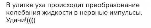 Что преобразует давление жидкости в нервные импульсы?