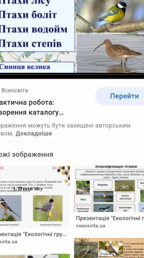 Нарисуйте экологическую группу птиц очень