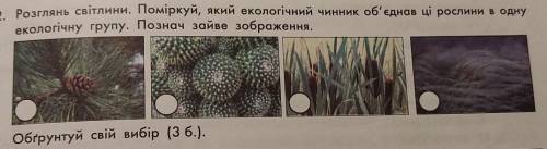 розглянь світлини, поміркуй який екологічний чинник об'єднав ці рослини в одну екологічну групу Позн