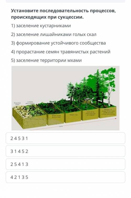 Укажите последовательность процессов происходящих при сукцессии ​