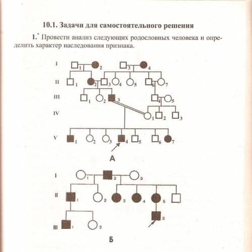 Решение генетических задач по схемам родословных