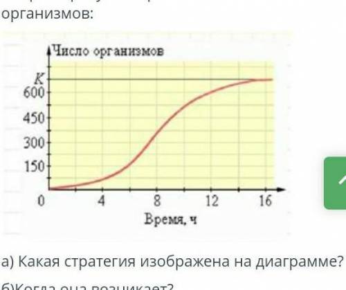 Какая стратегия изображено на диаграмме когда оно возникает её направленность​