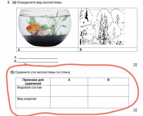 ) Определите вид экосистемы. АВ А В [2](b) Сравните эти экосистемы по плану:Признаки для сравненияАВ