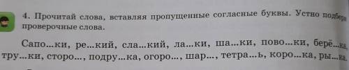 Прочитай слова, вставляя пропущенные согласные буквы. Устно подбери проверочные слова​