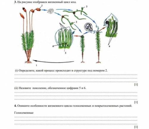 с заданиями которые на фото) за верный ответ !​