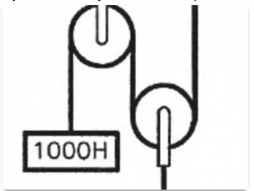 Система блоков находится в равновесии. Определите вес правого груза. (Вес блоков и силу трения не уч