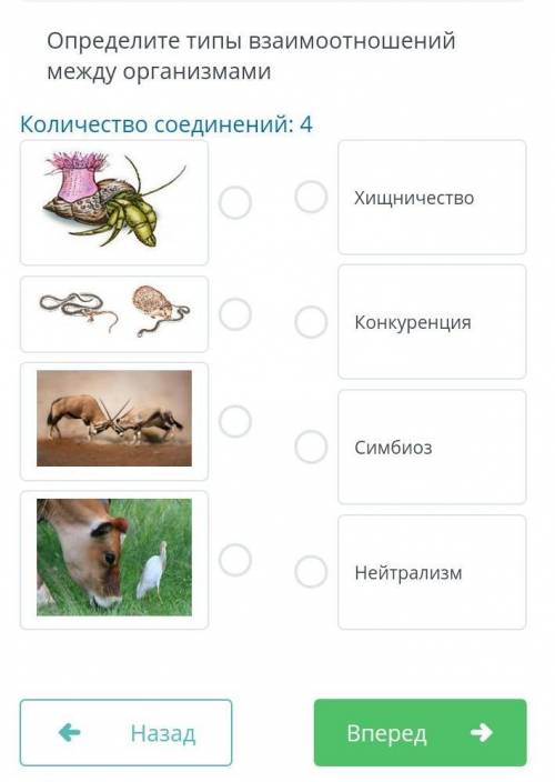 Установите соответствие пример взаимоотношений между организмами Определите типы взаимоотношений между организмами Количество соединений 4 Хищнич