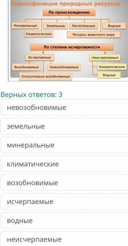 К каким группам в системе природных ресурсов относятся полезные ископаемые ​