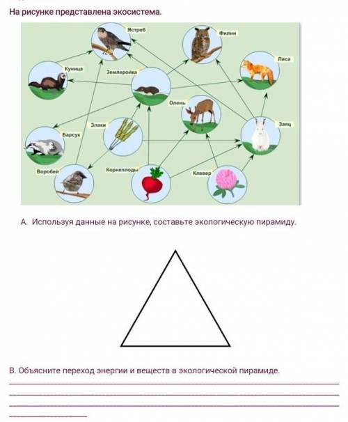 на рисунке представлена экосистема ​