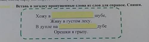 Вставь загадку пропущенные слова из слов для справок​