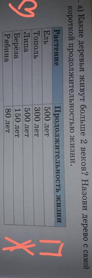 Век (в.) JU JICI.3. а) Какие деревья живут больше 2 веков? Назови дерево с самойкороткой продолжител