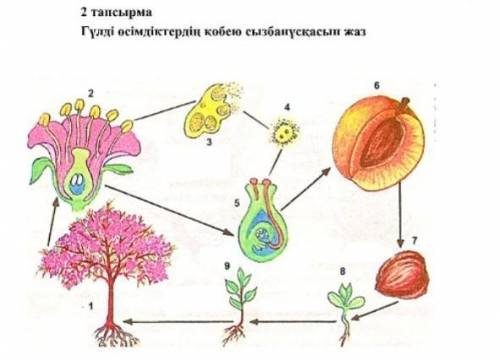 Решу по биологии 6 класс