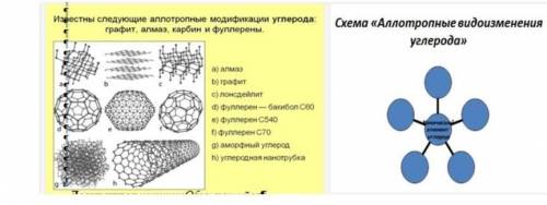 Используя рисунок, заполните схему «Аллотропные видоизменения углерода».​