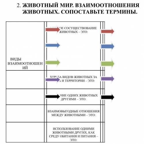 2. ЖИВОТНЫЙ МИР. ВЗАИМООТНОШЕНИЯ ЖИВОТНЫХ. СОПОСТАВЬТЕ ТЕРМИНЫ