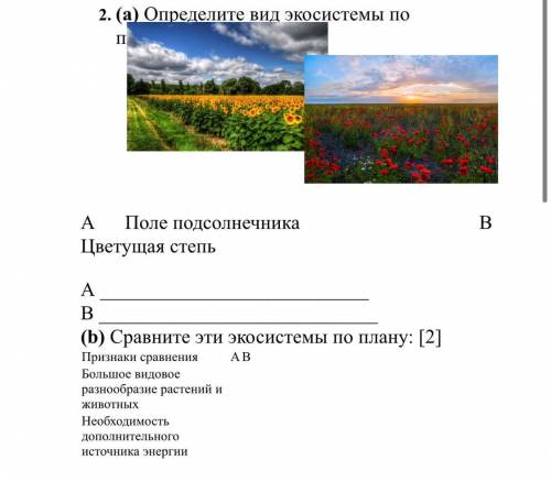 5 класс,соч по естествознанию,очень нужно,времени нет