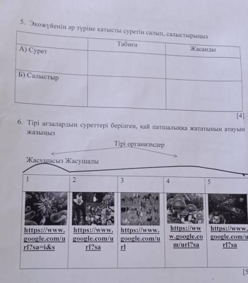 ОСЫ ЕКЕУЫН И ПОДПИСАТСЯ ЕТЕМЫН ЖАРАТЫЛЫСТАНУДААН ​