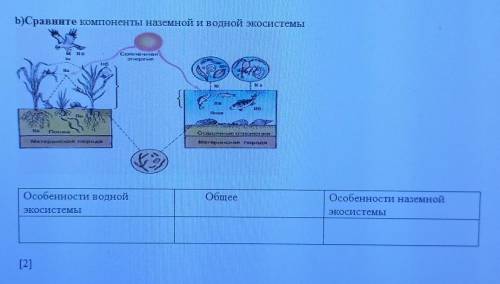 Сравните компоненты наземной и водной экосистемы​