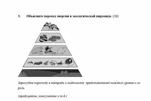 . Объясните переход энергии в экологической пирамиде. Зарисуйте пирамиду в тетрадь и подпишите предс