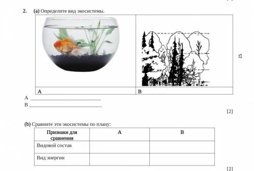 А) определите вид экосистемы Б) сравните эти экосистемы по плану​
