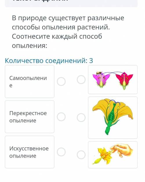 В природе существует различные опыления растений. соотнесите каждый опыления: количество соединений: