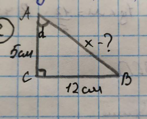 В прямокутному трикутнику знайти невідому сторону x i sind cosd tgd​