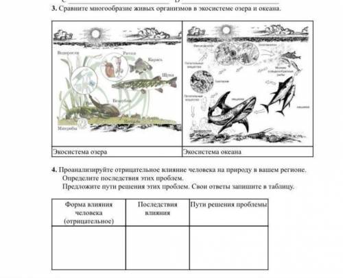 Проанализируйте отрицательное влияние человека На природу в вашем регионе . Определите последствия э