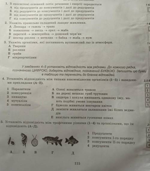 САМОСТІЙНА РОБОТА 23ланцюги живлення і потік ЕНЕРГІЇ. взаємозв'язок компонентів Екосистеми.