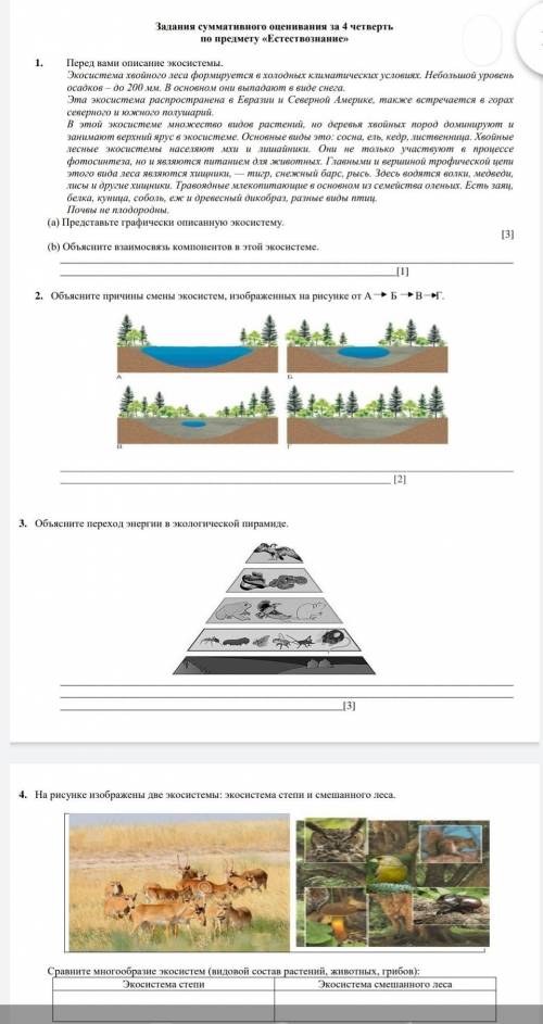 Естествознание ᅠ ᅠᅠᅠᅠᅠᅠᅠᅠᅠᅠᅠᅠᅠᅠᅠᅠᅠᅠᅠᅠᅠᅠᅠᅠᅠᅠᅠᅠ ᅠᅠᅠᅠᅠᅠᅠᅠᅠᅠᅠᅠᅠᅠᅠᅠᅠᅠᅠᅠᅠᅠᅠᅠᅠᅠᅠᅠᅠᅠᅠᅠᅠᅠᅠᅠᅠᅠᅠᅠᅠᅠᅠᅠ​