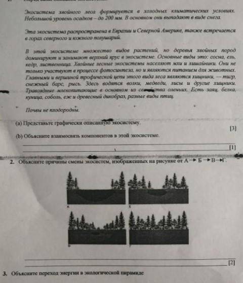 Представьте графический описание экосистемы​