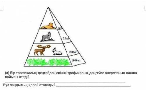 Тжб 6 сынып жаратылыстану​