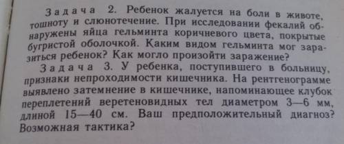 В мазке, сделанном путем соскоба с перианальных